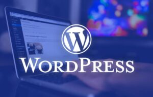 خدمات طراحی سایت وردپرس - پارس وب